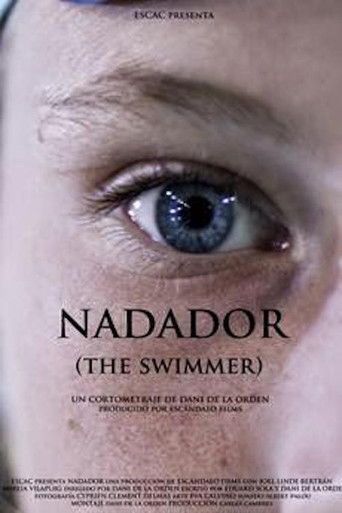 The Swimmer poster