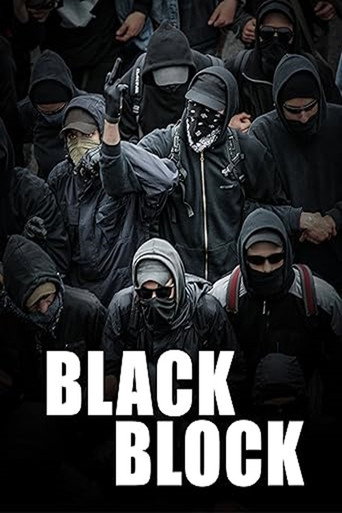 Movie poster for Black Block (2011)
