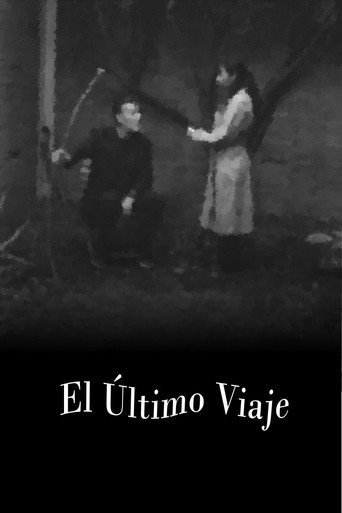 Movie poster for The Last Journey (2024)