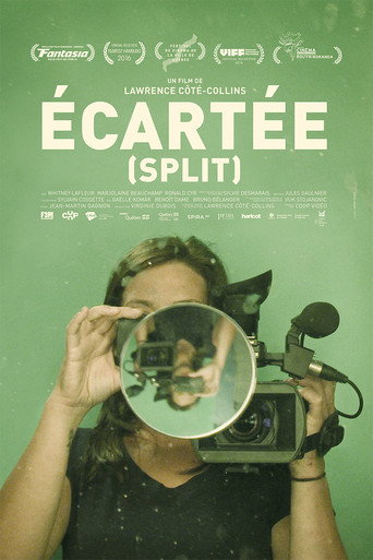 Movie poster for Split (2016)