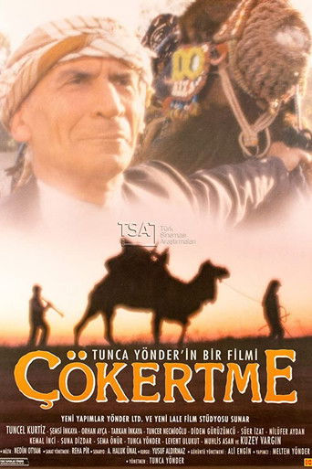 Çökertme poster