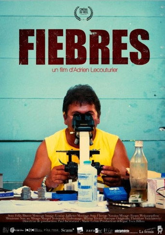 Movie poster for Fiebres (2013)