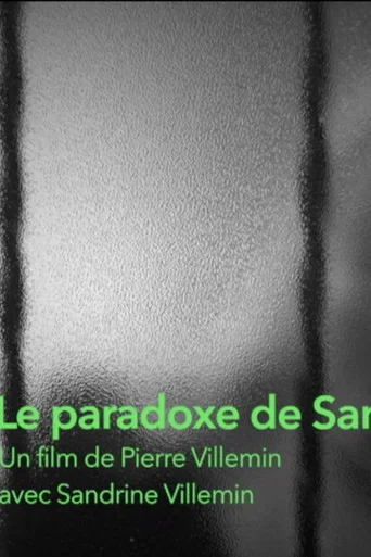 Movie poster for Le paradoxe de Sandra (2021)