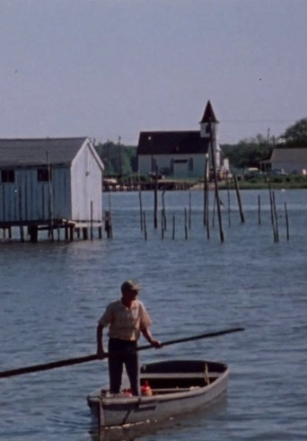 Movie poster for Mermaids, Frog Legs, and Fillets (1978)
