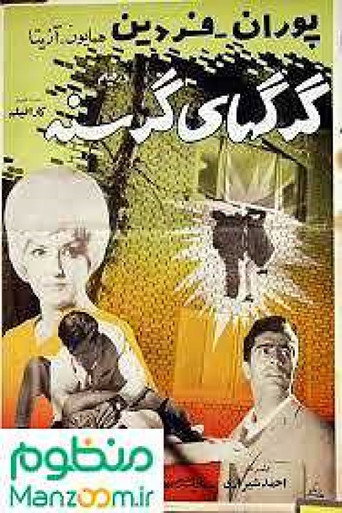 Movie poster for Hungary wolves (1968)
