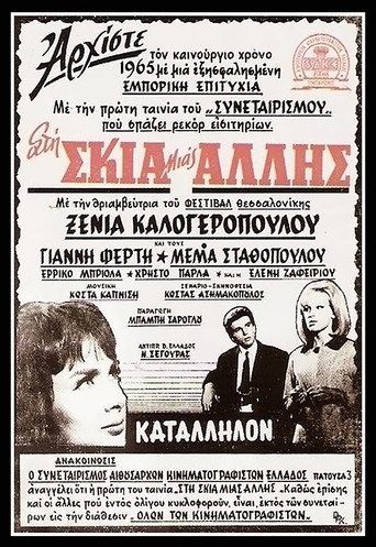 In the shadow of the other woman poster