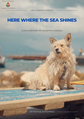 Movie poster for Here where the sea shines (2025)