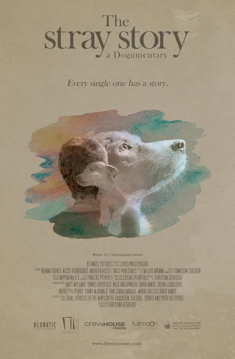 Movie poster for The Stray Story: A Dogumentary (2021)