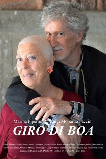 Movie poster for Giro di boa (2018)