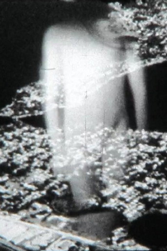 Movie poster for Conjectures (2013)