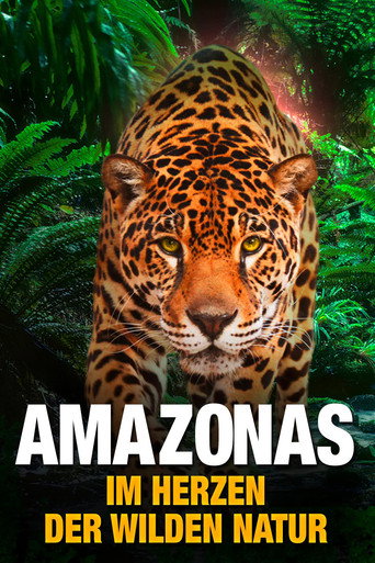 Movie poster for AMAZON 3D (2013)