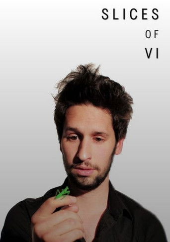 Movie poster for Slices of Vi (2018)