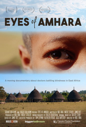 Movie poster for Eyes of Amhara (2020)