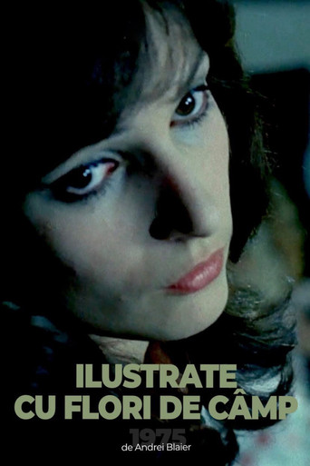 Postcards with Wildflowers poster