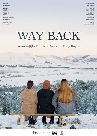 Way Back poster