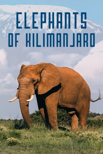 Movie poster for Elephants of Kilimanjaro (2022)