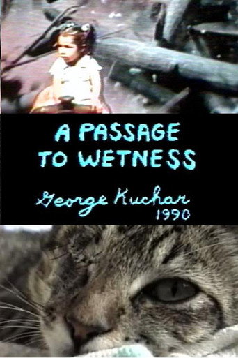 Movie poster for A Passage to Wetness (1990)