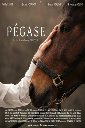 Movie poster for Pégase (2024)