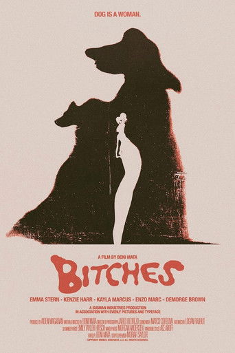 Bitches poster