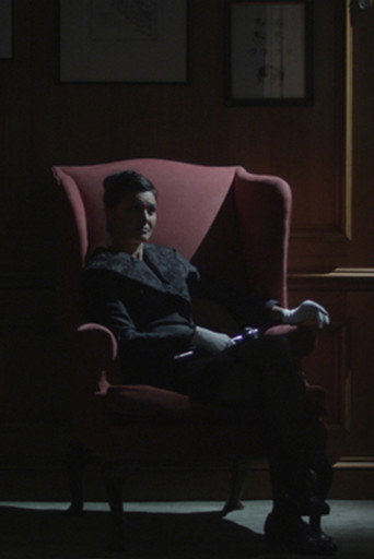 There Is No Such Thing as a Jellyfish poster