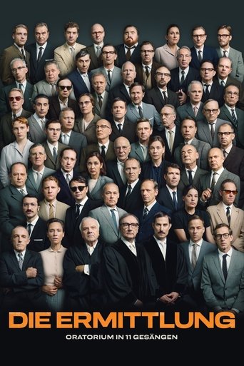 The Investigation poster