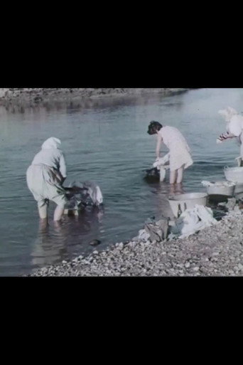 Movie poster for Un feudo d'acqua (1967)