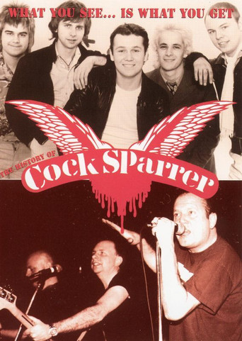 Movie poster for Cock Sparrer - What You See Is What You Get (2005)