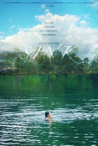 Movie poster for Sink (2024)