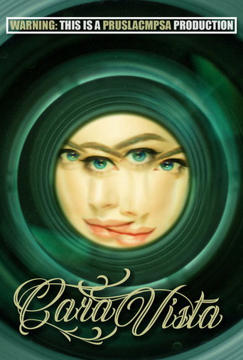 Movie poster for Cara Vista