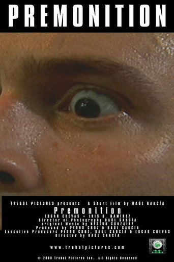Movie poster for Premonition (2002)
