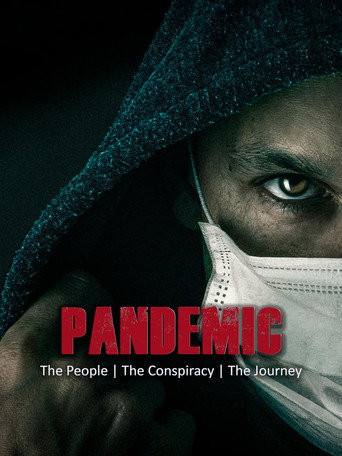 Pandemic: The People, The Conspiracy, The Journey poster