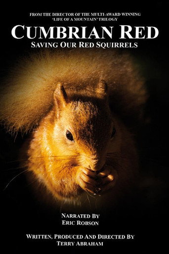 Movie poster for Cumbrian Red: Saving Our Red Squirrels (2023)