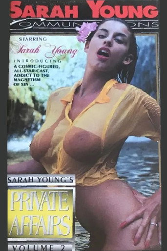 Movie poster for Private Affairs 2 (1991)
