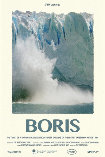 Movie poster for BORIS