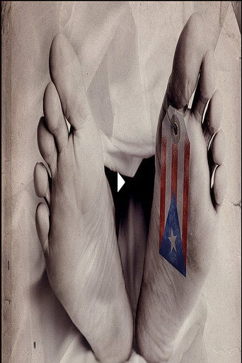 Movie poster for Collapse (2019)