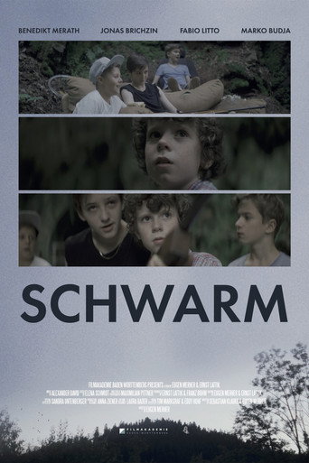 Movie poster for Swarm (2016)