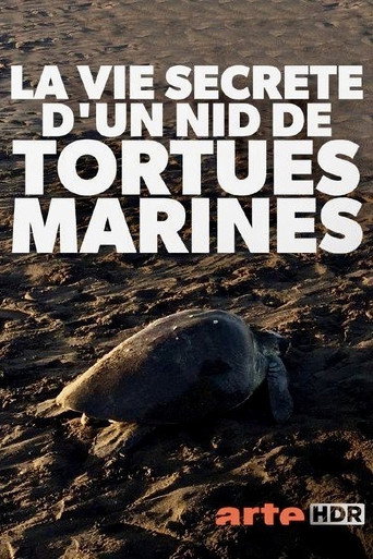 Movie poster for Turtle Beach (2019)
