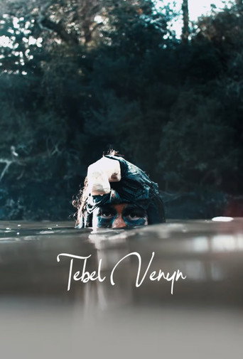 Movie poster for Tebel Venyn (2022)