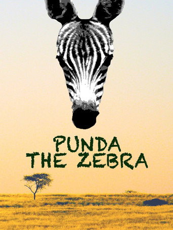 Movie poster for Punda the Zebra (2017)