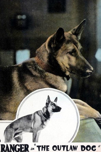 Movie poster for The Outlaw Dog (1927)