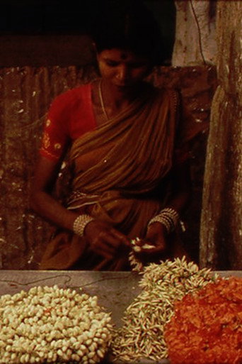 Movie poster for A Depression in the Bay of Bengal (1996)