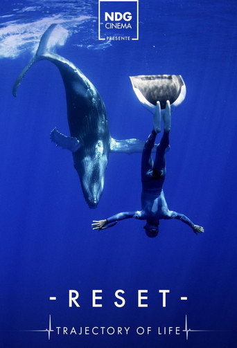 Series poster for RESET - Trajectory of life (2021)