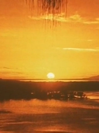 Movie poster for Artificial Paradise (1975)