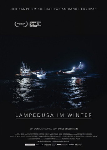 Movie poster for Lampedusa im Winter (2015)
