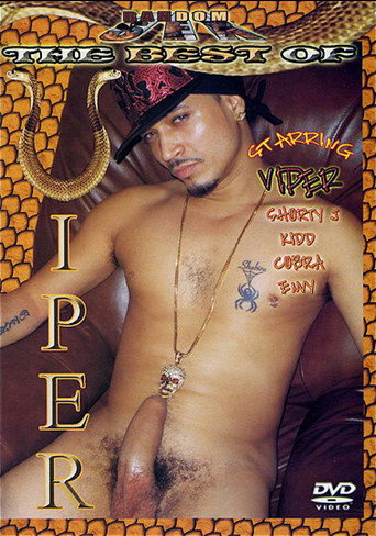 Movie poster for The Best of Viper (2009)