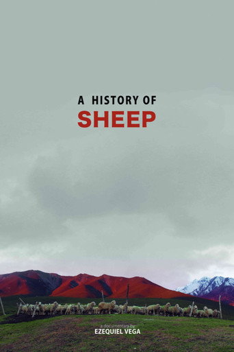 Movie poster for A History Of Sheep (2016)