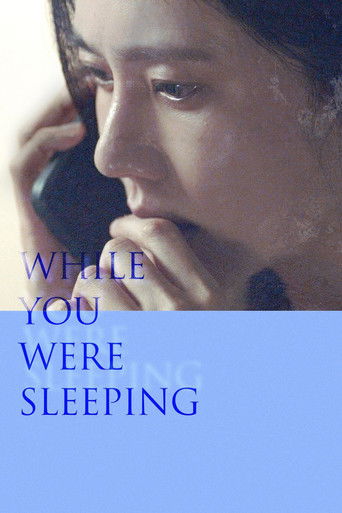 While You Were Sleeping poster