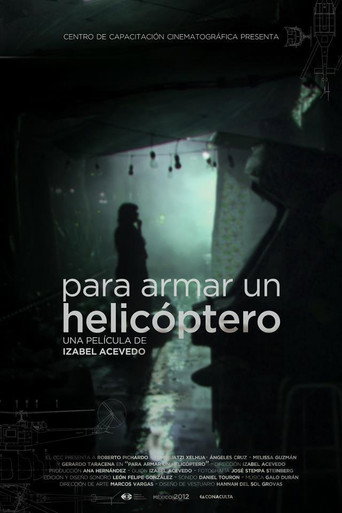 Movie poster for Para armar un helicóptero (2013)