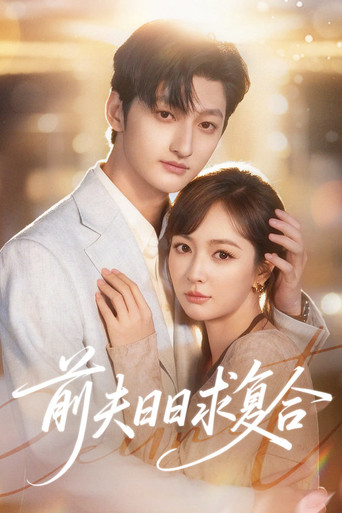 Ex-Husband Wants to Get Back Together Every Day poster