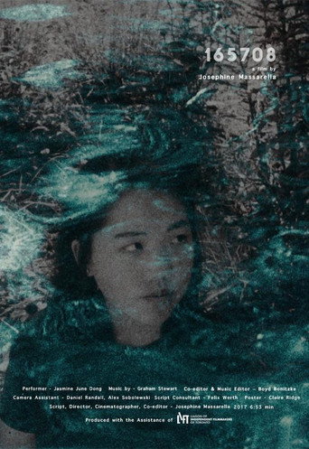Movie poster for 165708 (2017)